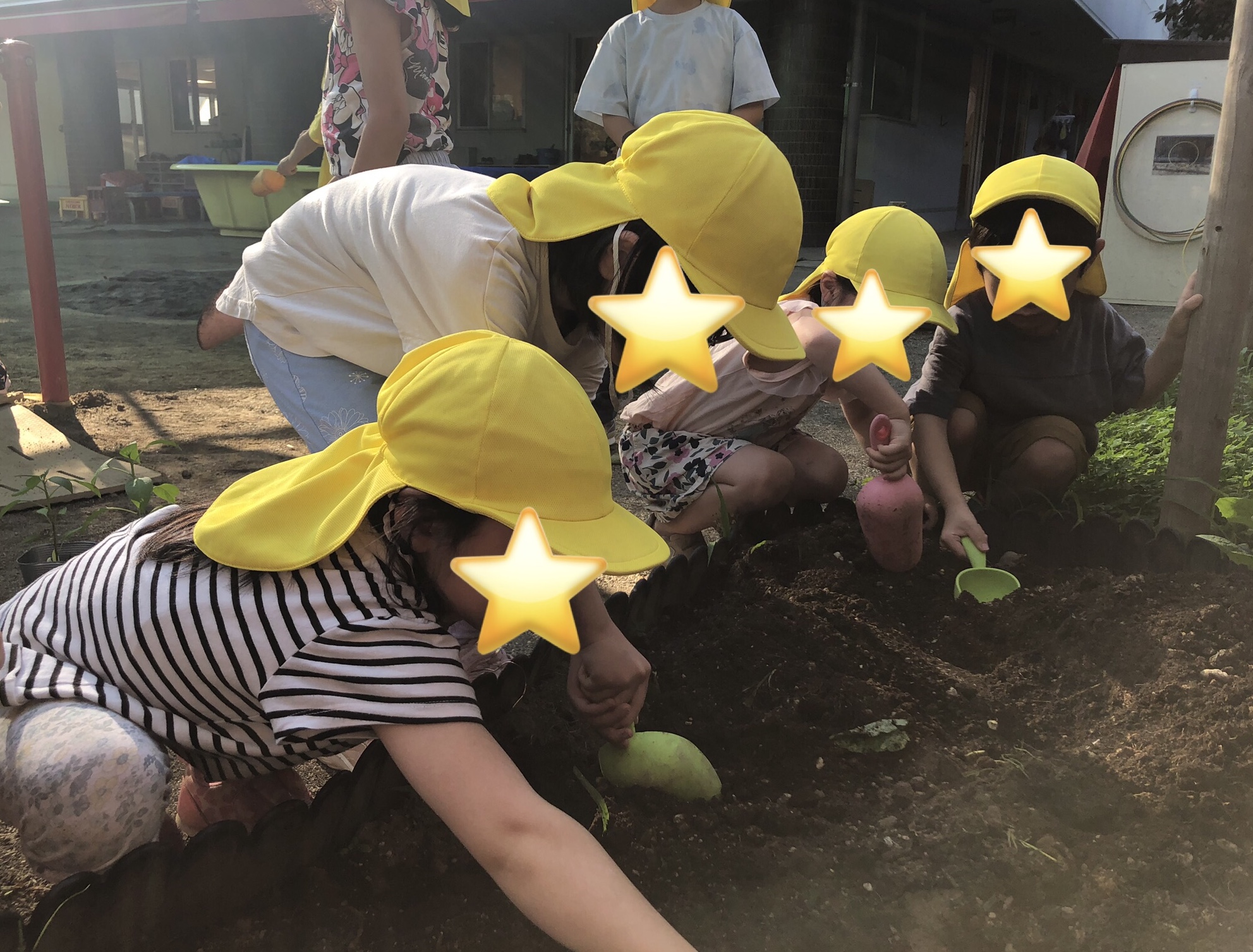 5歳児さくら組 ぐんぐんのびてね!