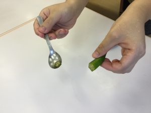 すみれ組　野菜スタンプをしたよ