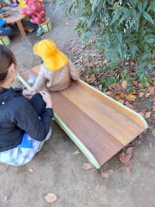 遊びに行ったよ