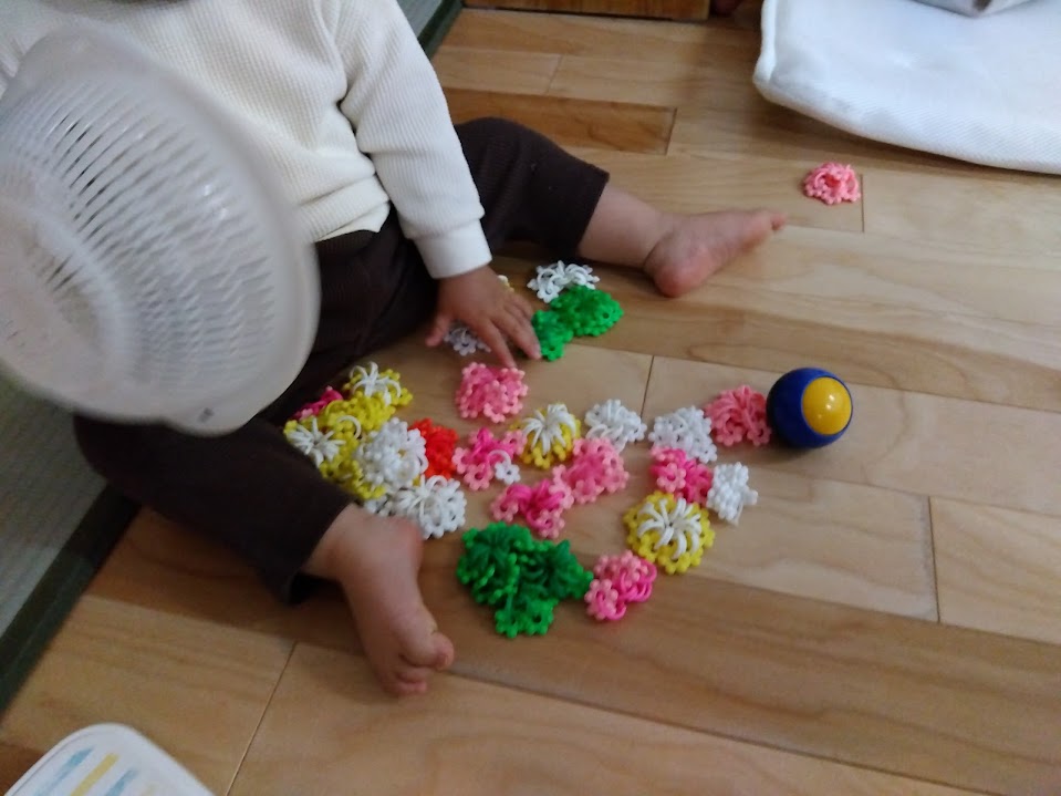 こあらのコラム～遊びの始まり～