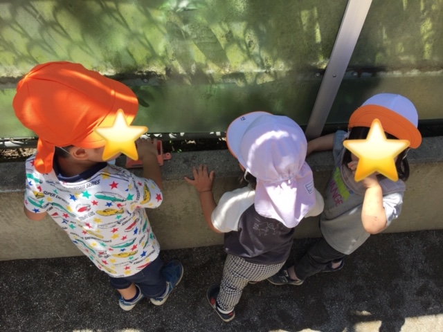 image6.jpeg