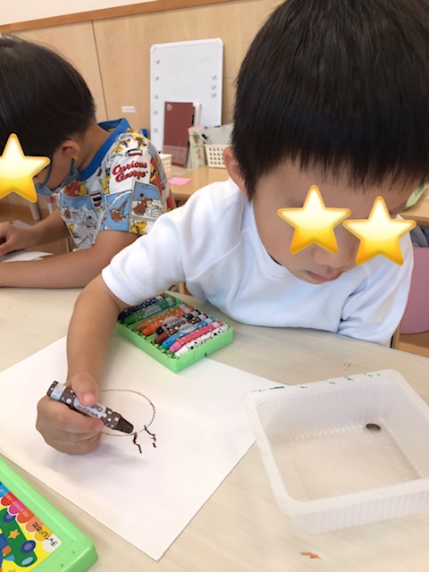 そら組☀️わたしのダンゴムシ