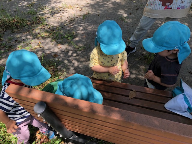 image0.jpeg