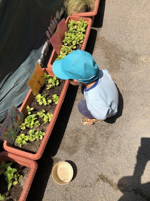 image1.jpeg