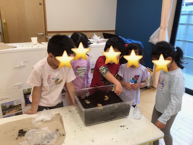 image1.jpeg
