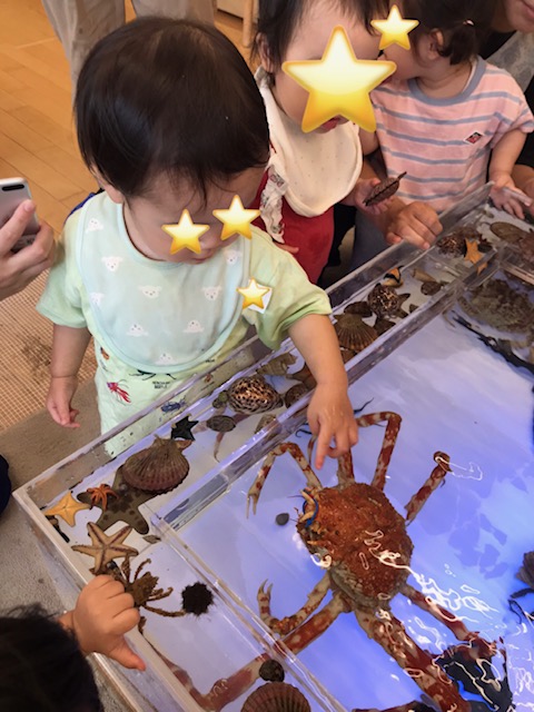 image1.jpeg