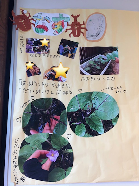 image1.jpeg