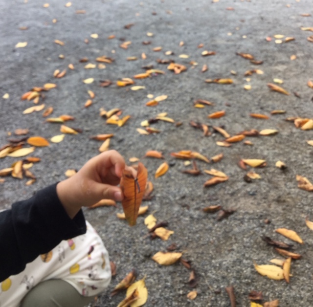 0歳児 ひなぎく組 お散歩に行きました!